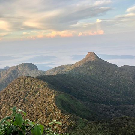 Hotel Mango Tree Nearest Adam'S Peak Nallathanniya Exteriör bild