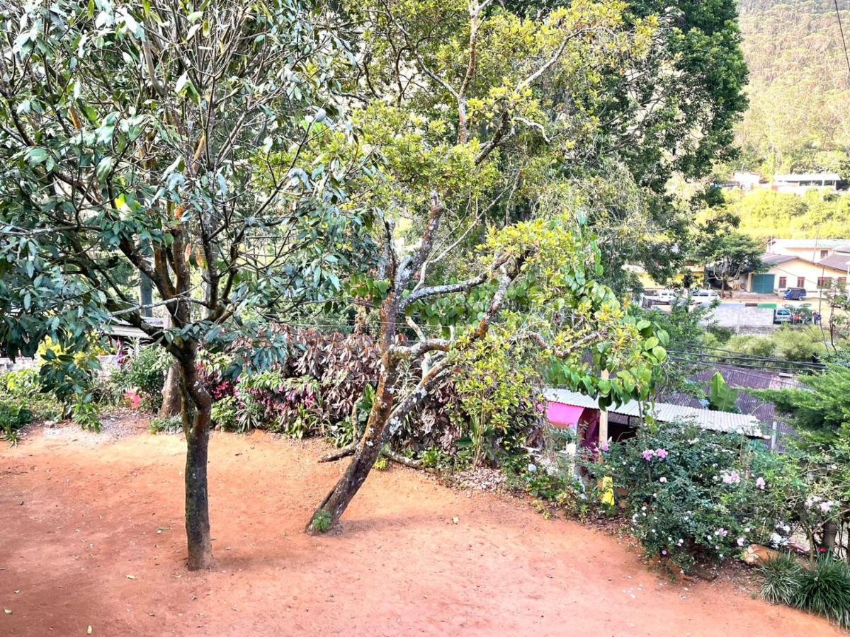 Hotel Mango Tree Nearest Adam'S Peak Nallathanniya Exteriör bild