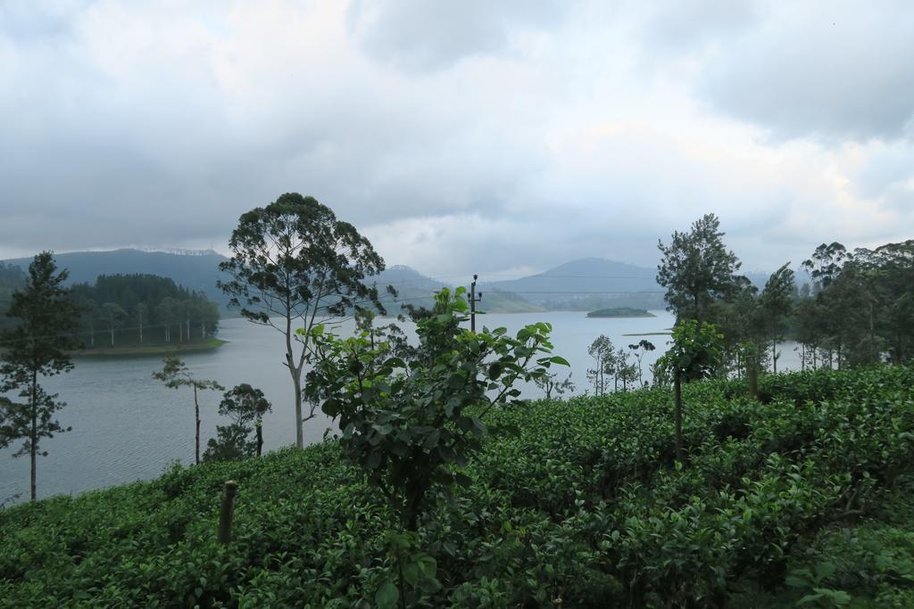 Hotel Mango Tree Nearest Adam'S Peak Nallathanniya Exteriör bild